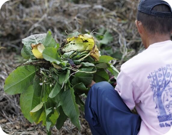 希望・要望を活動に反映